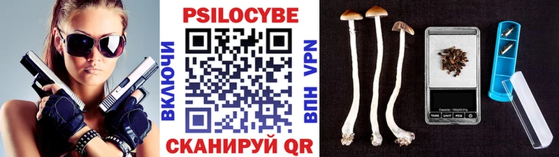 Галлюциногенные грибы мицелий hydra маркетплейс Пересвет